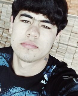 Шейх